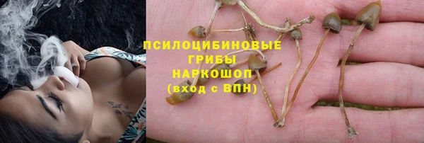 синтетический гашиш Богданович