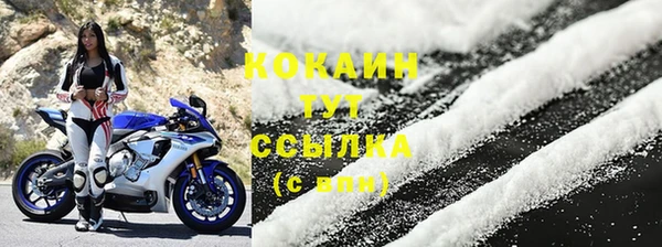 прущая мука Богородицк
