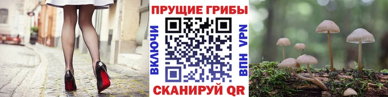 Купить где  Светлый  Псилоцибиновые грибы мухоморы 